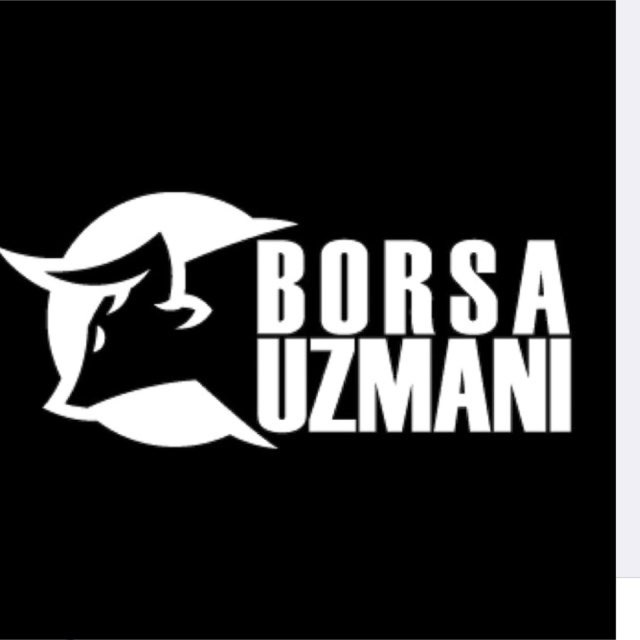 Borsa Uzmanı Logo